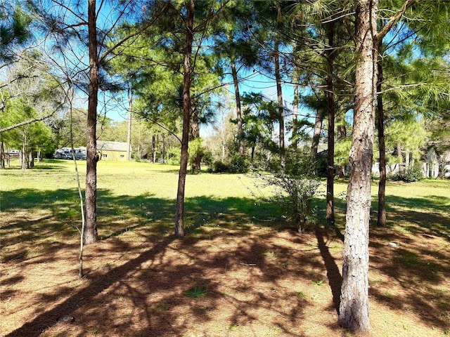 TBD S Roselake Dr, Tomball, TX 77377 - photo 8