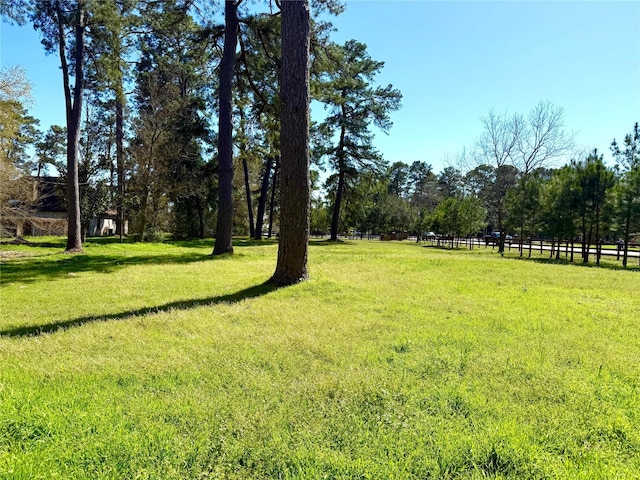 TBD S Roselake Dr, Tomball, TX 77377 - photo 4