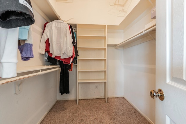 spacious closet with light colored carpet