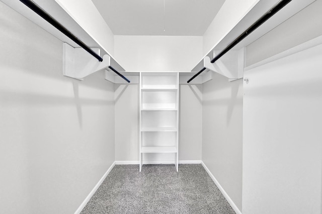 walk in closet featuring carpet