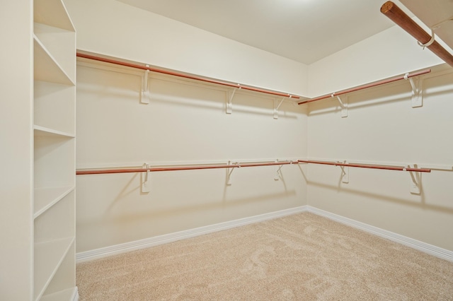 spacious closet with carpet