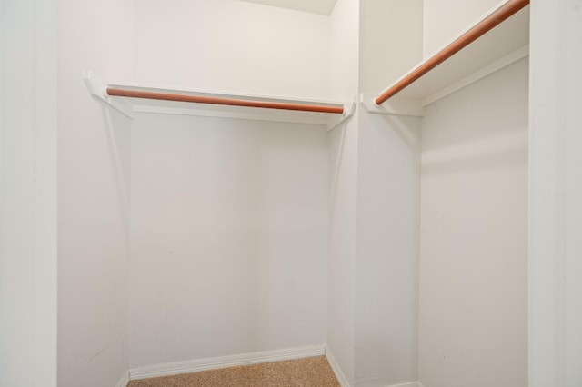 walk in closet featuring carpet floors