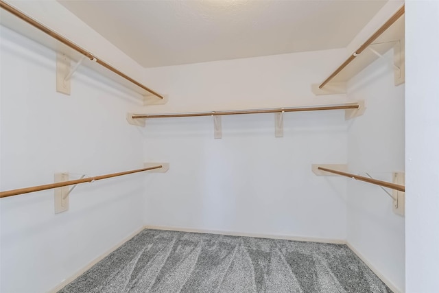 walk in closet with carpet floors