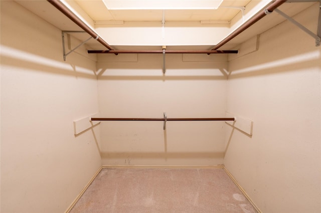 spacious closet featuring carpet flooring