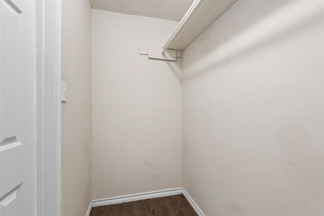 walk in closet featuring carpet flooring