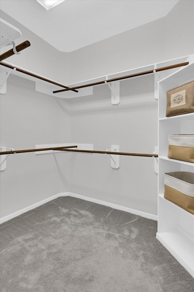 walk in closet featuring carpet