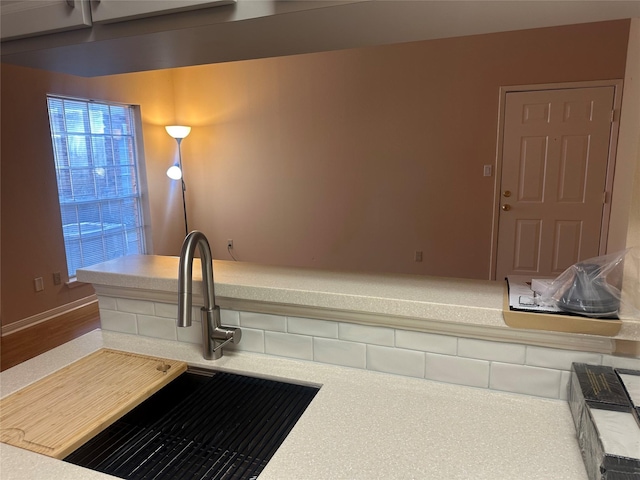 interior space featuring light countertops, baseboards, and a sink