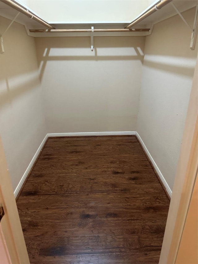 spacious closet with dark wood finished floors