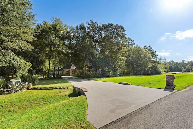 view of home's community with a yard