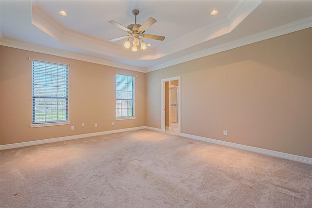 spare room with a tray ceiling, a healthy amount of sunlight, baseboards, and ornamental molding