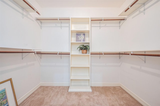 walk in closet with carpet