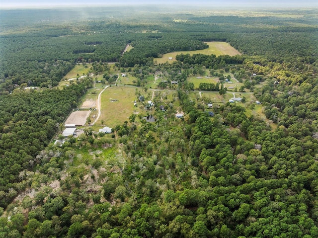 bird's eye view with a view of trees