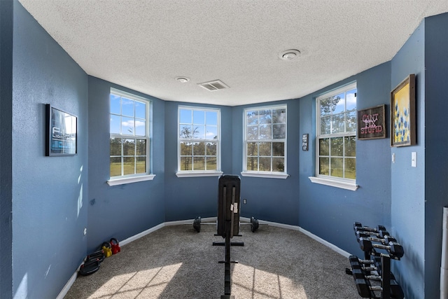 workout room featuring a wealth of natural light, visible vents, and carpet floors