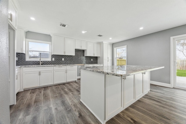 kitchen with decorative backsplash, a healthy amount of sunlight, and wood finished floors