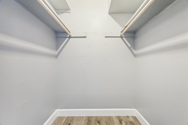 walk in closet featuring wood finished floors