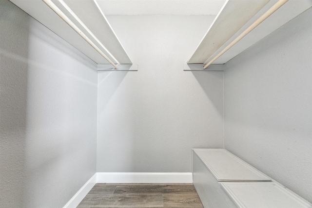 walk in closet featuring wood finished floors