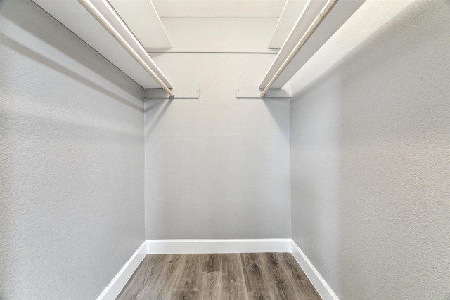 spacious closet featuring wood finished floors