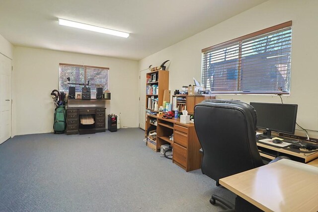 view of carpeted office space