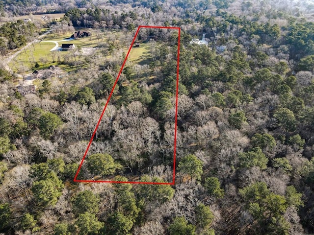 aerial view with a forest view