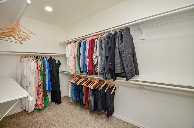 spacious closet featuring carpet flooring