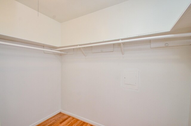 spacious closet with light wood-style flooring