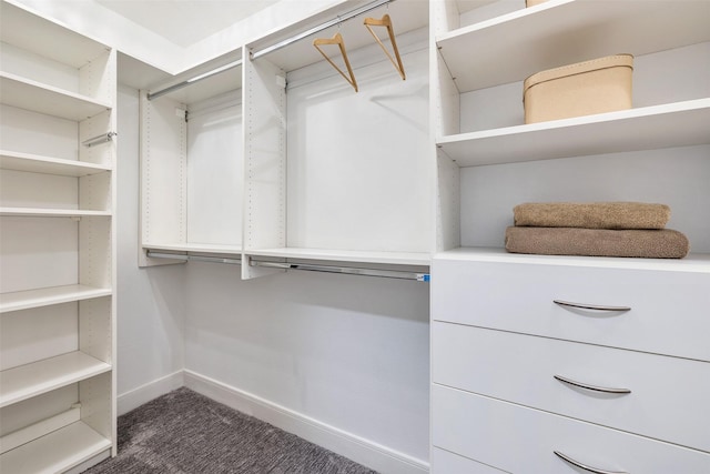 spacious closet with dark carpet