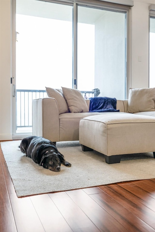 living room with wood-type flooring