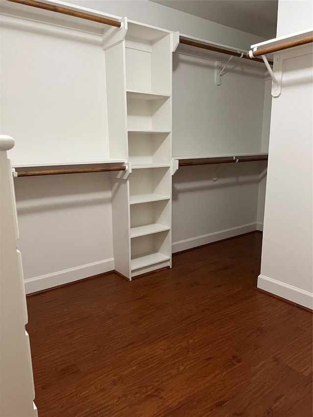 walk in closet with dark wood-style floors