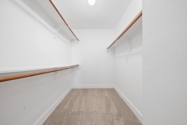 walk in closet with light colored carpet