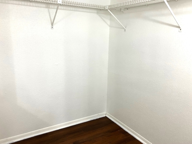 spacious closet featuring dark wood finished floors