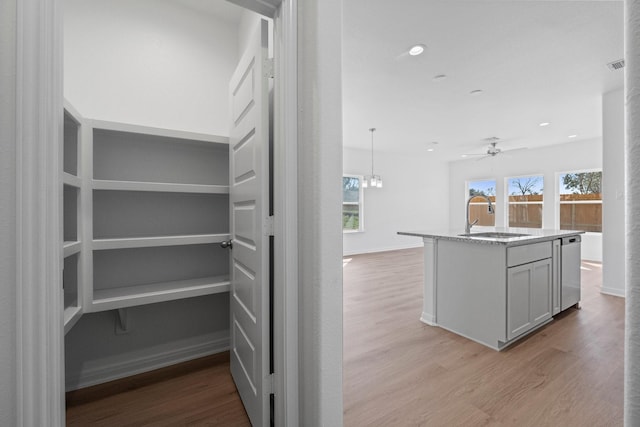 11837 E Gate Dr, Willis, TX 77318 - pantry featuring visible vents and a sink