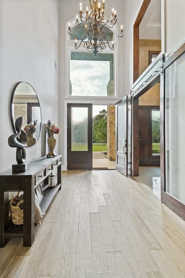 foyer entrance with wood finished floors, plenty of natural light, and a towering ceiling