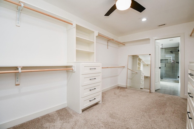 walk in closet with light colored carpet, visible vents, and ceiling fan