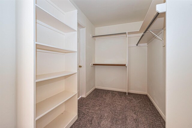 walk in closet with carpet flooring