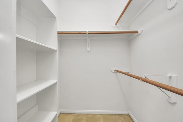 spacious closet featuring light colored carpet