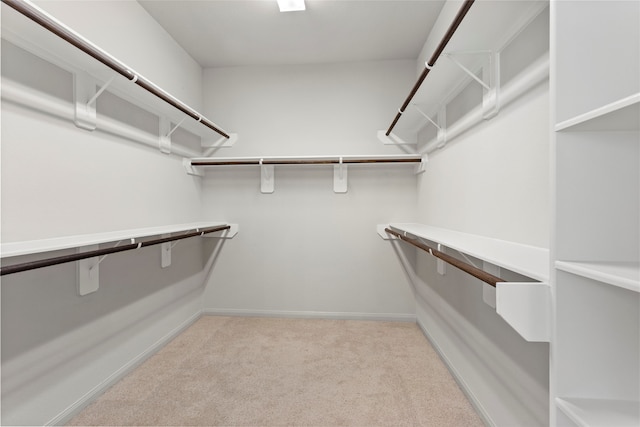 spacious closet with carpet floors