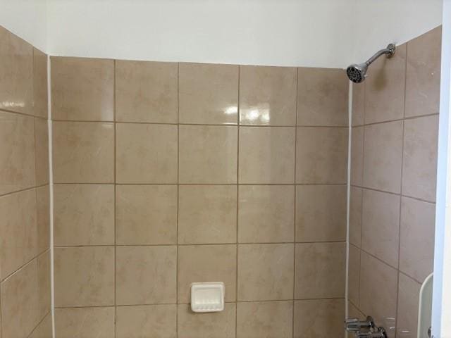 full bathroom with a shower