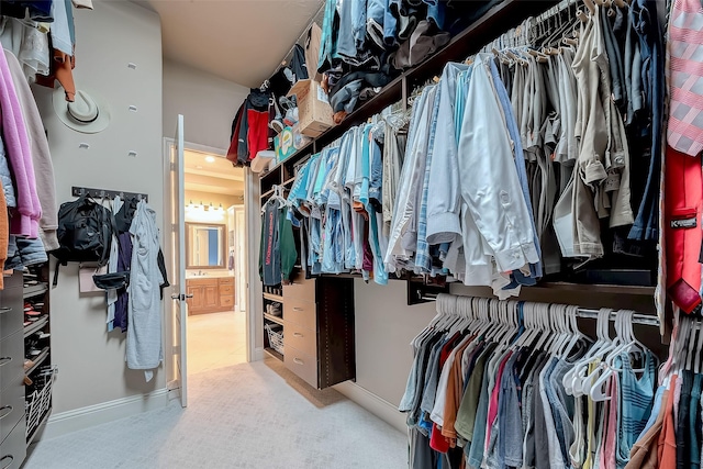 spacious closet featuring carpet