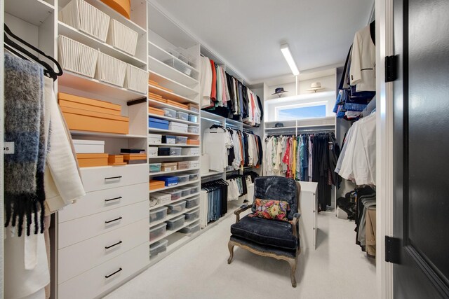 view of walk in closet