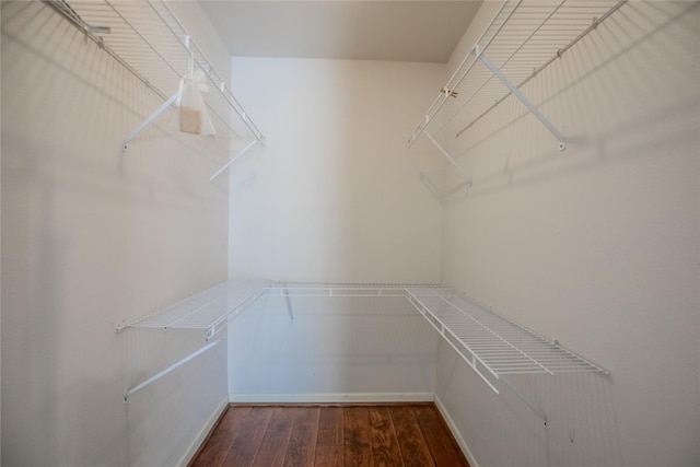 spacious closet featuring wood finished floors