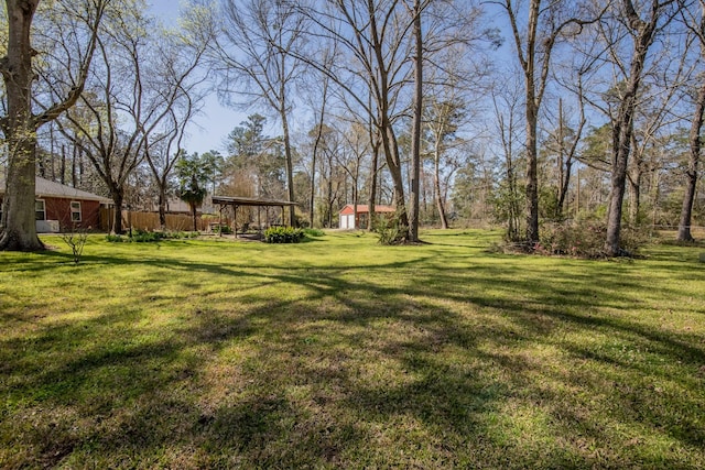 view of yard featuring an outdoor structure