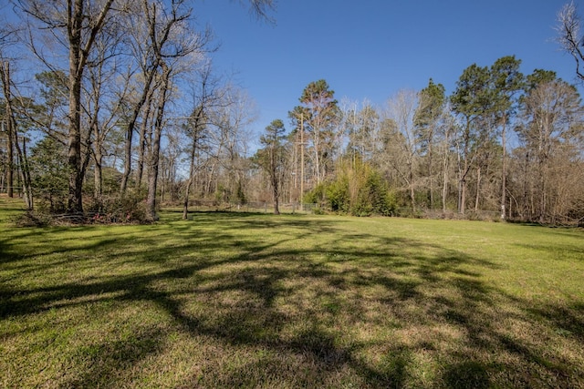 view of yard with a forest view