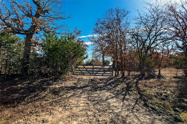 5988 Fm 180, Ledbetter TX, 78946 land for sale