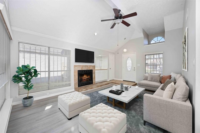 living area featuring wood finished floors, baseboards, ceiling fan, a tile fireplace, and a textured ceiling