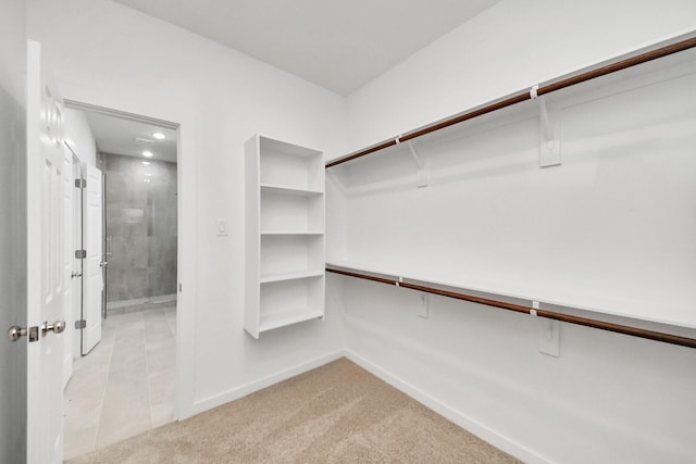 spacious closet with light colored carpet