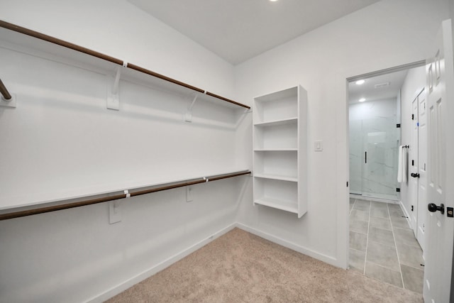 spacious closet with light carpet