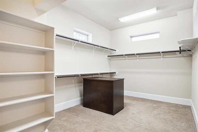 spacious closet with carpet floors