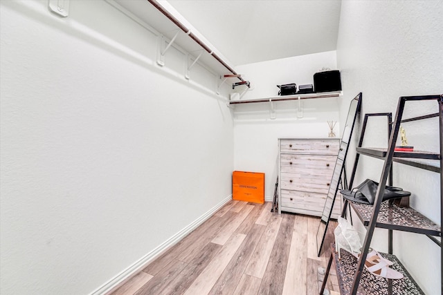 spacious closet with light wood-type flooring