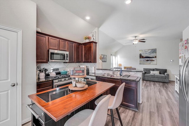 kitchen featuring ceiling fan, lofted ceiling, a peninsula, stainless steel appliances, and a sink