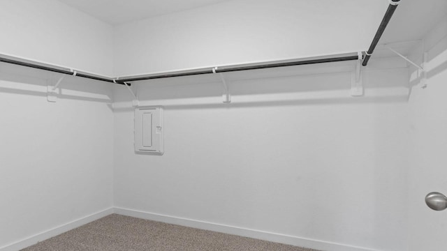 walk in closet with electric panel and carpet flooring